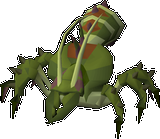 Kalphite Queen