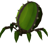 Nylocas Vasilias (Green)
