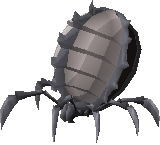 Nylocas Vasilias (Grey)
