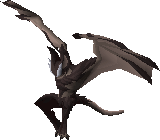 Xarpus